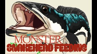 👹💥മോൺസ്റ്ററിനു ഫുഡ് കൊടുക്കാം Feeding Giant Snakehead