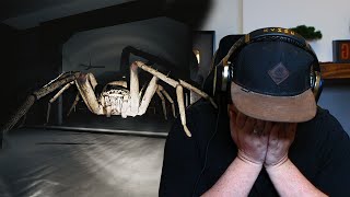 I Nearly Quit! Giant Spider Horror