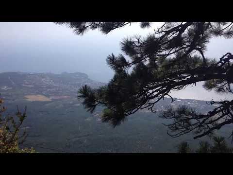 Dennis Marcellino and Mark Stefani - The Shadow of Your Smile