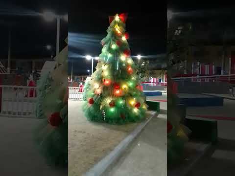 Árvore de Natal da praça de  Luís Domingues.