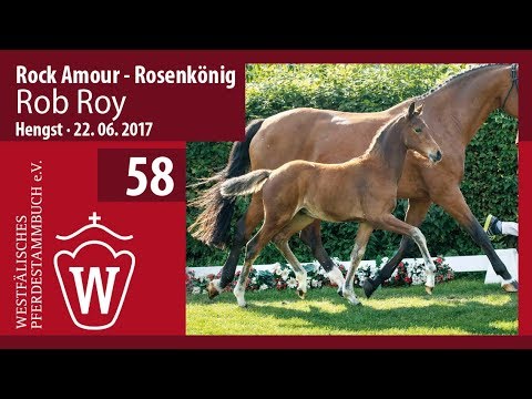 58 Rob Roy HF v. Rock Amour - Rosenkönig