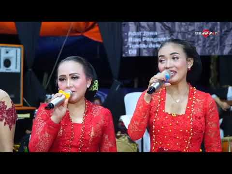 OJO DIPLEROKI - ALL ARTIST Putro Langgeng