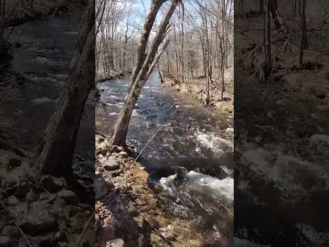 Randolph, NH walk April, 2023