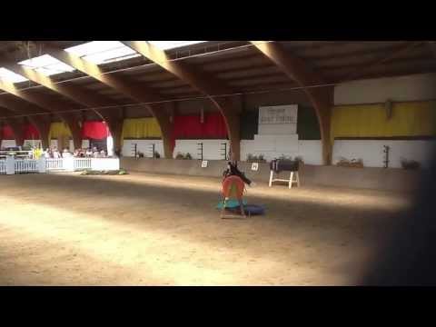 Junior Trophy Brakel Paula Waskowiak Kür Holzpferd