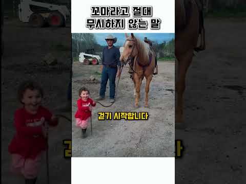 꼬마라고 절대 무시하지않는 말