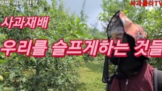무엇이 우리를 슬프게 하는가 그곳에 가보니.얼음덩이가 쏟아지다