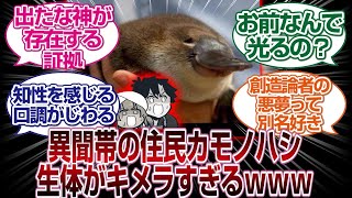 異聞帯の住民　カモノハシの生体が神秘の塊すぎるｗｗｗｗ[FGO反応まとめ]