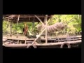 Roar Tigers Of The Sundarbans 2014 Hindi Movie ...