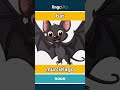 bat - murciélago video thumbnail