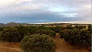 Arris CM2000 Gimbal-Dehesa Boyal