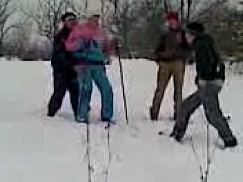 radesti oaia la schi