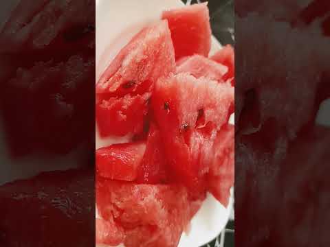 Dietitan KHADIJA diet plan#healthy #summer #fruit #lunchtime #lunchideas #lunch #28 June 2024