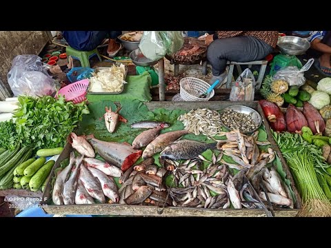 The Big Cambodian Fish Market @ Chhouk Meas