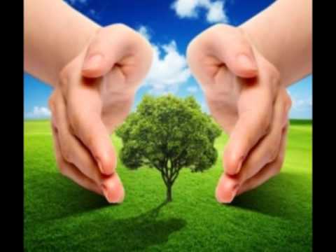 Asa - Irma June (LCLR Prambors1988/1989)