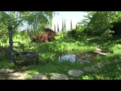 Gartengestaltung: Naturgärten anlegen