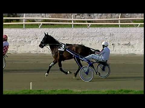 Napoli Trotto 07/03/2021 - 5ª corsa