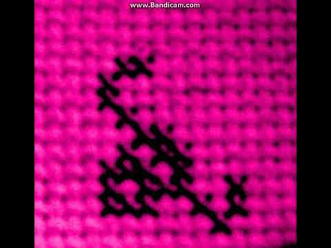 SWEET SENSATION:  "EYES IN THE BACK OF MY HEAD" [1975]