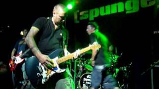 [spunge] No Woman No cry live at Newcastle 2010