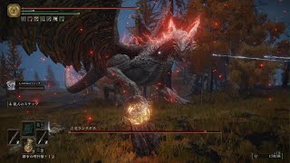 ELDENRING アルター高原 古竜ランサクス戦 エルデンリング動画51