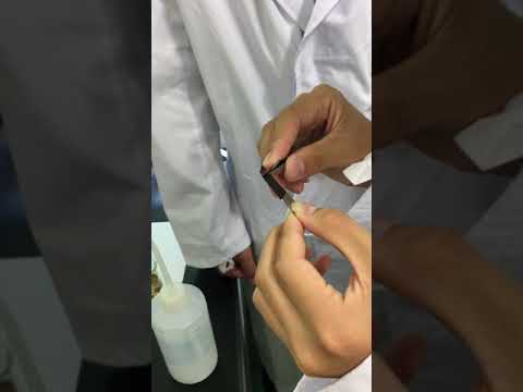 理学類 ポリピロール膜の作製 前半