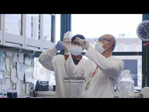 Fight - Brown University