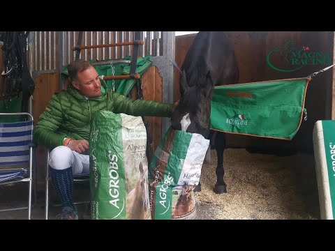 #meetapro Dieter Köfler über den Casino Grand Prix, Ziele und die Wichtigkeit von Sponsoren im Sport