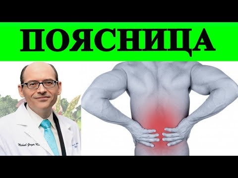 Холестерин и Боль в Пояснице - Доктор Майкл Грегер