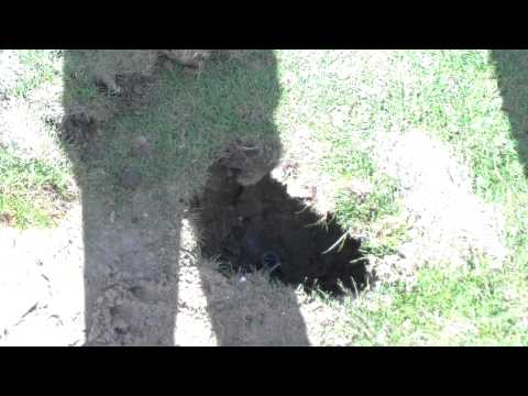 Blerick D3 - MVC'19 D2 (22-09-2012)