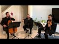 Sunset Strings' string trio performs Turning Page by Sleeping At Last