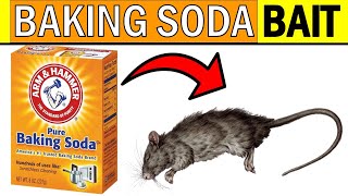 How To Get Rid of RATS & MICE With BAKING SODA