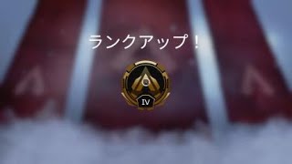 せっ、かや