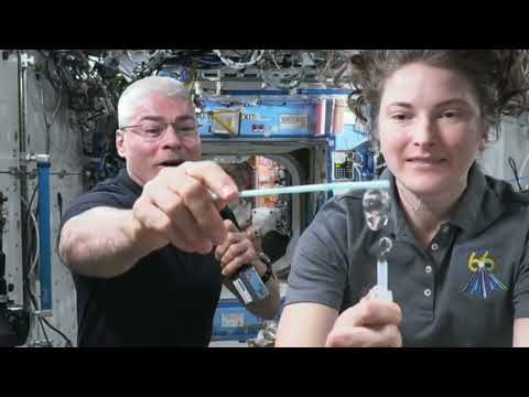 Expedition 66 Space Station Astronauts Answer California Student Questions - Jan. 24, 2022