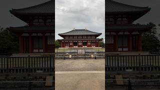 奈良・興福寺 中金堂とお経 #japan #travel #奈良