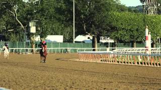 Belmont Stakes News Update for June 6, 2014