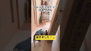 新調しました！#shorts