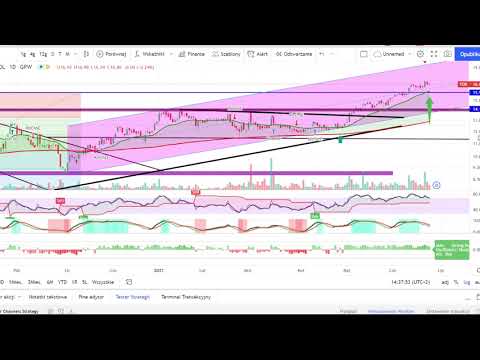 Spółka dnia - Torpol