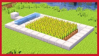 Minecraft: Come Fare Una Farm Di Grano