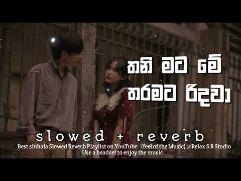 Thani Mata Me tharamata Ridawa | තනිමට මේ තරමට රිදවා | Slowed Reverb #relax_sr_studio