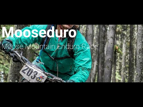 download lagu mp3 mp4 Rootsandrain, download lagu Rootsandrain gratis, unduh video klip Rootsandrain