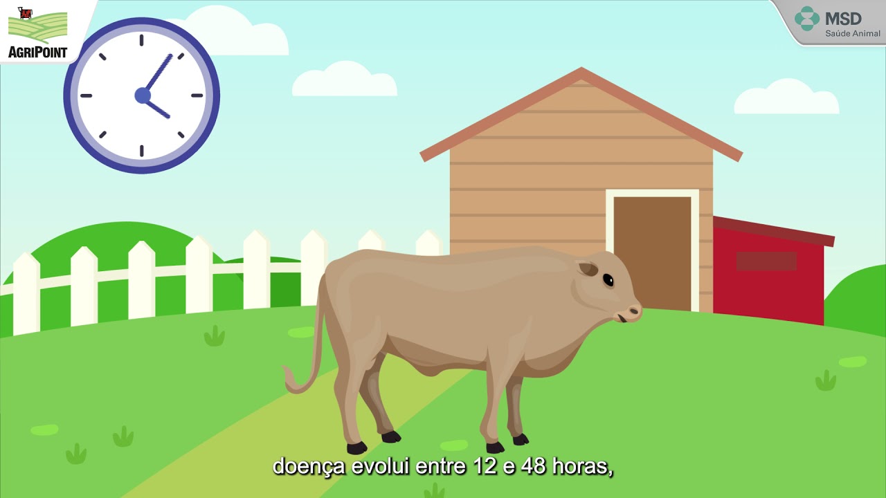 Minuto Previna - Conhecendo as Doenças Clostridiais: Carbúnculo Sintomático