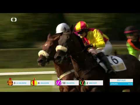 6. 9. 2025 - 7. dostih - Pohár BICZ holding 2025 – Memoriál Oktaviána Kinského