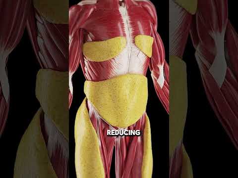 What happens to your body if you fast for 36 hours!!