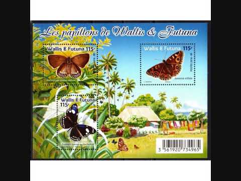 OI AUE SI OKU OFA 2020