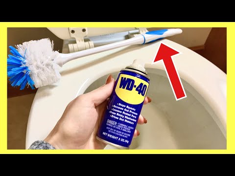 The TRUTH About WD 40 vs TOILET for Cleaning!! (The One TRICK Everyone Should KNOW!) | Andrea Jean