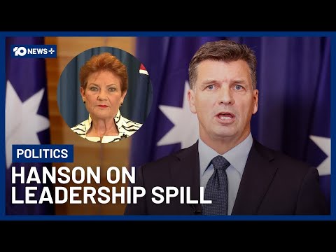Pauline Hanson On What The Liberal Leadership Spill Could Mean For One Nation | 10 News+