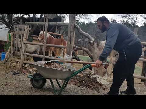 1812010 / Слагам гредите за портала към конния плац