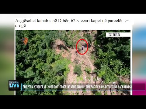 Shqipëria "korridor" i drogës, avokati: Kapet vetëm 10-15% e narkotikëve – Shqipëria Live