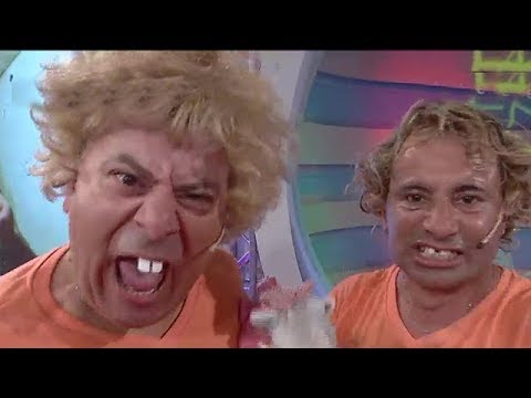 Ponguito y Foquito: un zoo de amor - Peligro Sin Codificar 2018