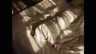 Silvio Rodríguez &amp; Pablo Milanés · El breve espacio en que no estás