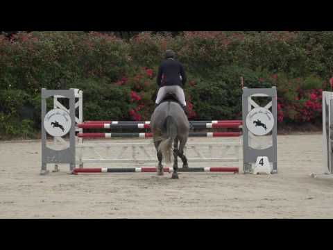 Captain Semilly - CIR 4 ans Mâles Auvers